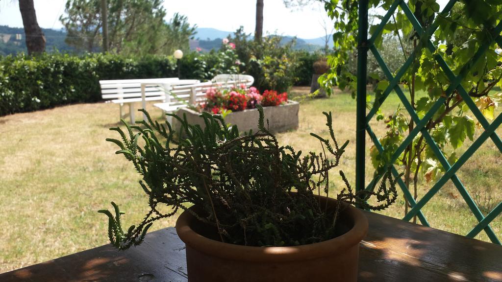 Agriturismo Il Catrino Ponteginori Buitenkant foto