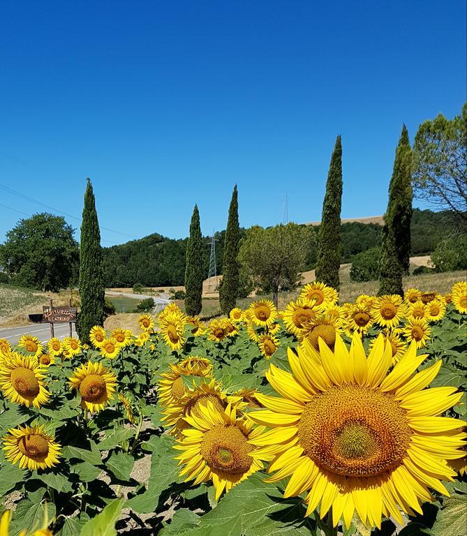 Agriturismo Il Catrino Ponteginori Buitenkant foto