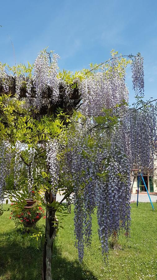 Agriturismo Il Catrino Ponteginori Buitenkant foto
